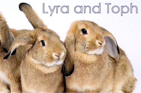 Lyra & Toph